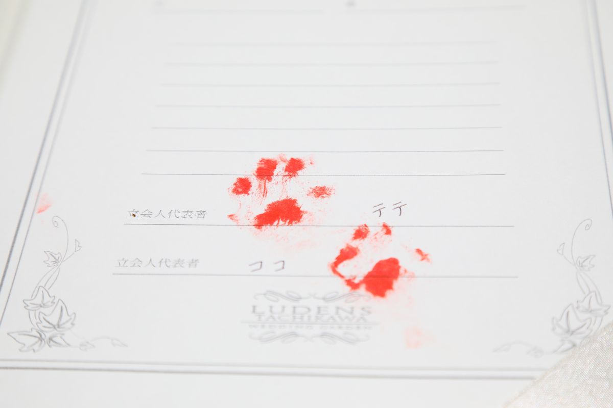 ＃結婚証人